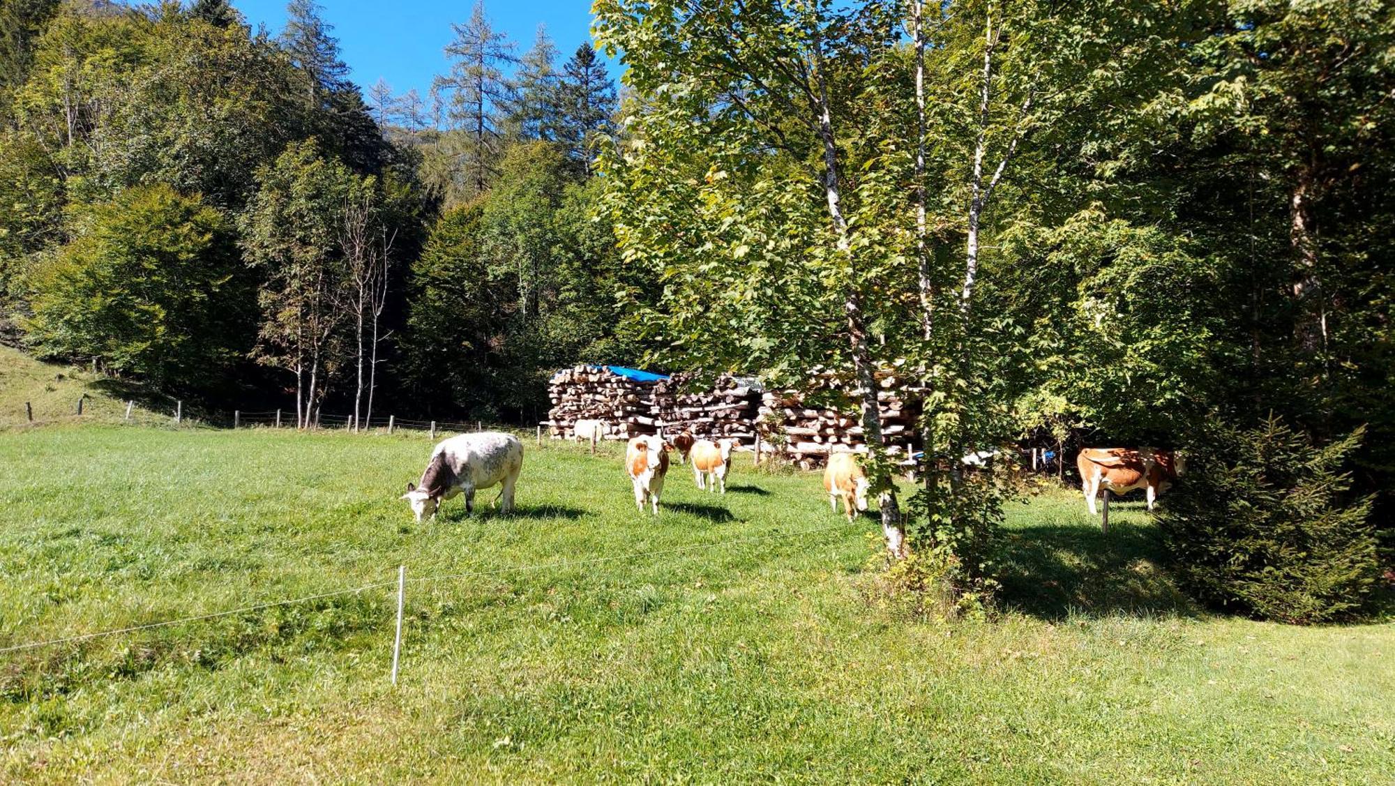 Jaegerhaus Villa Hintersee Eksteriør bilde