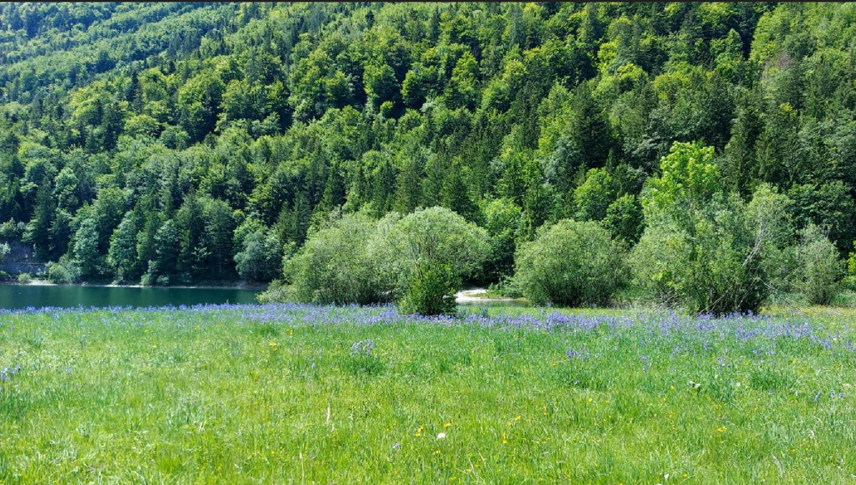 Jaegerhaus Villa Hintersee Eksteriør bilde
